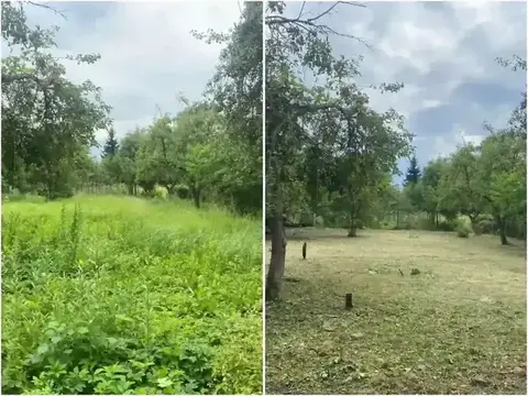 Покос в саду — реальная работа