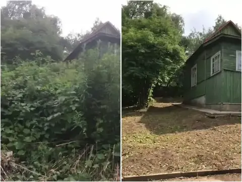 Заросли у дома — реальная работа