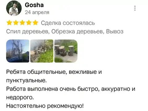 Отзыв о спил деревьев — Gosha