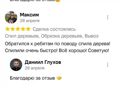 Отзыв о спил деревьев — Максим
