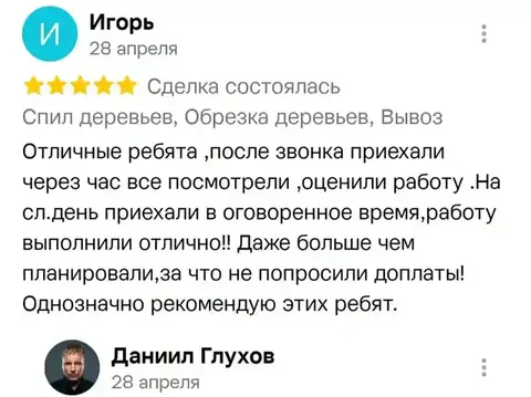 Отзыв о спил деревьев — Игорь