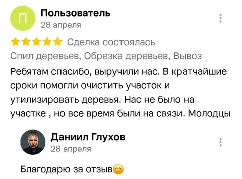 Отзыв о спил деревьев