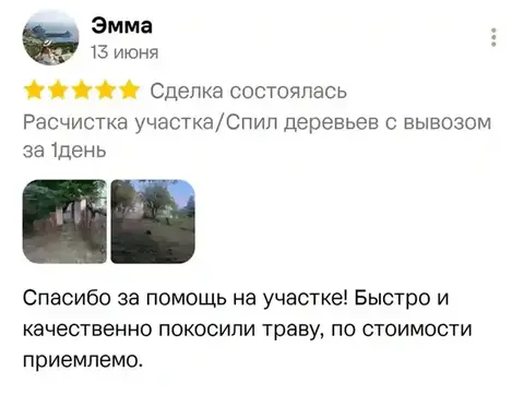 Отзыв о спил деревьев — Эмма