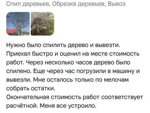 Отзыв о спил деревьев и вывозе