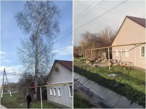 Спил во дворе частного дома — реальная работа